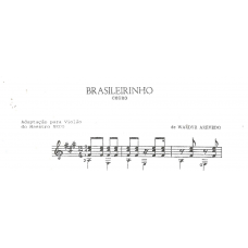 Fundamentos teórico e Workshop ( Samba - Brasileirinho)